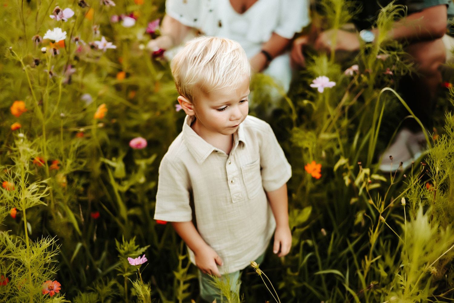 A small figure in a beige polo shirt stands amid tall wildflowers and grass during golden hour.
