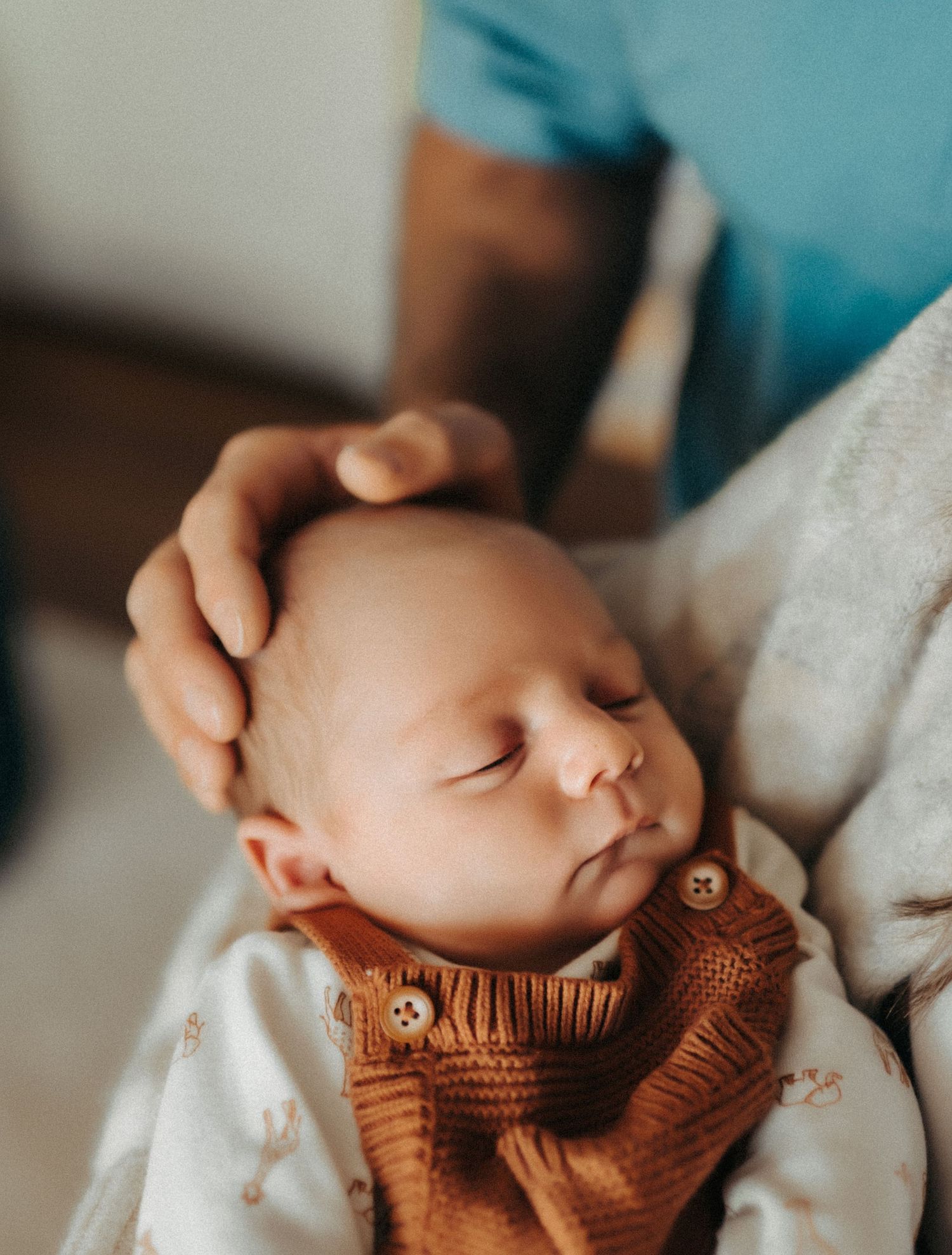 A peaceful sleeping baby wearing a brown knitted sweater is cradled gently in someone's hands.