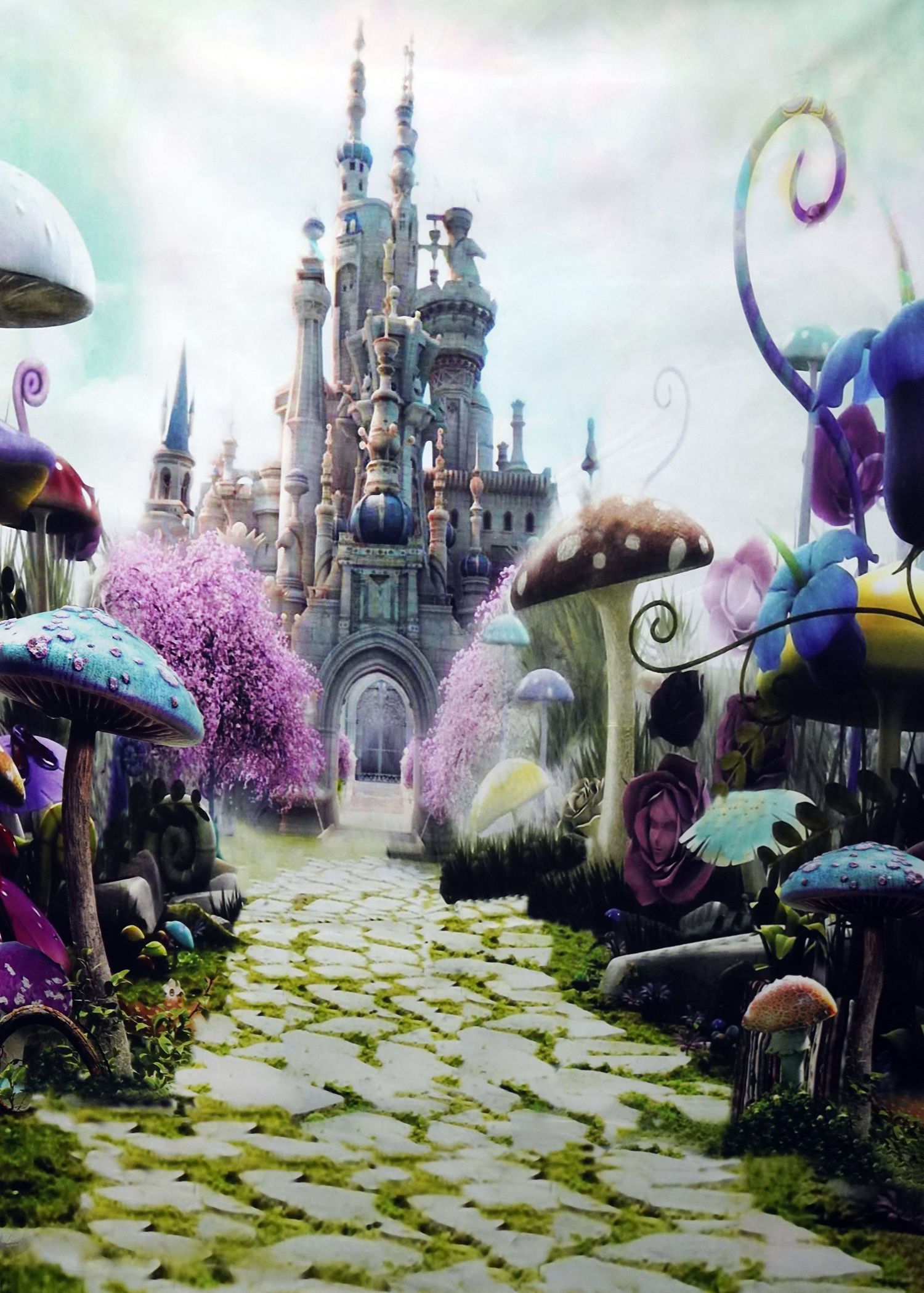 Princess, Disney, Castle