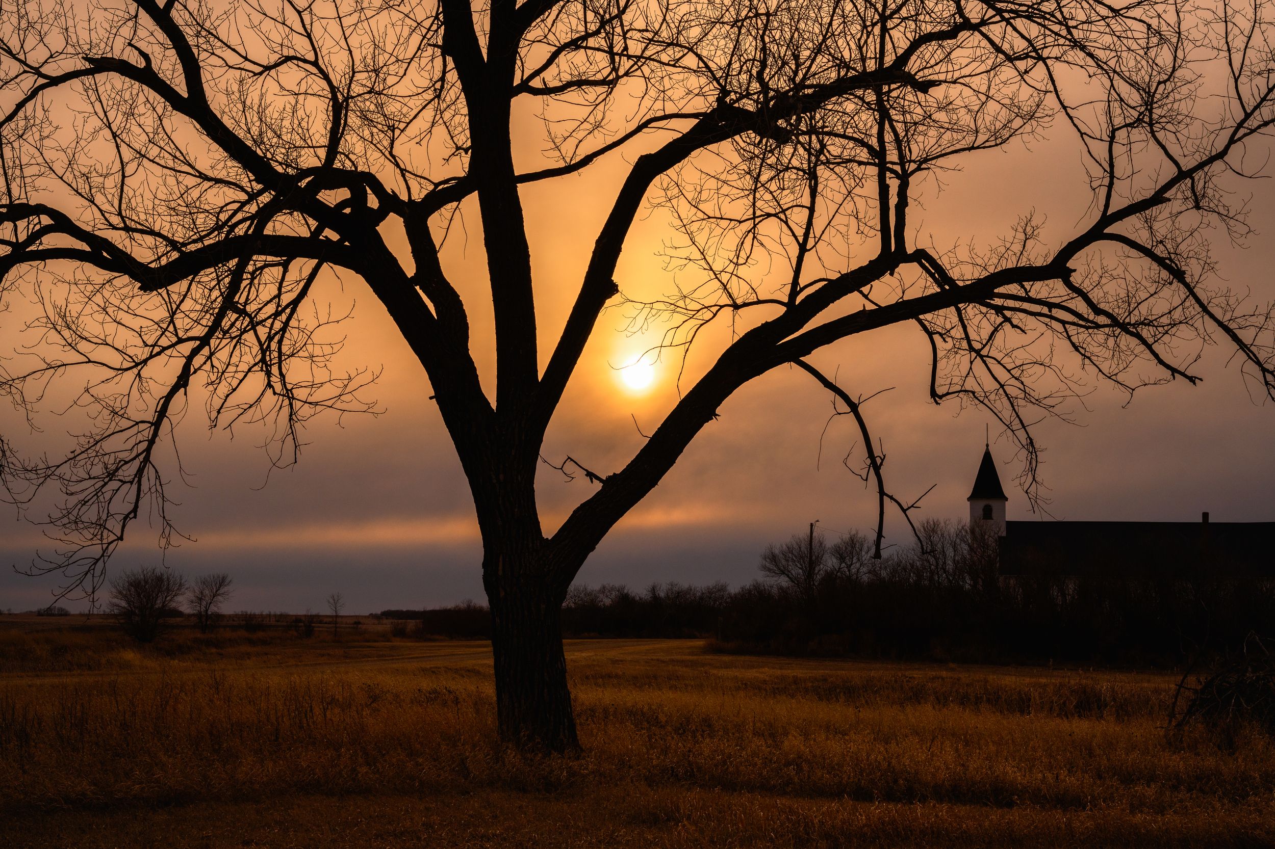 Silhouetted tree branches frame a dramatic orange sunset sky over a rural landscape.