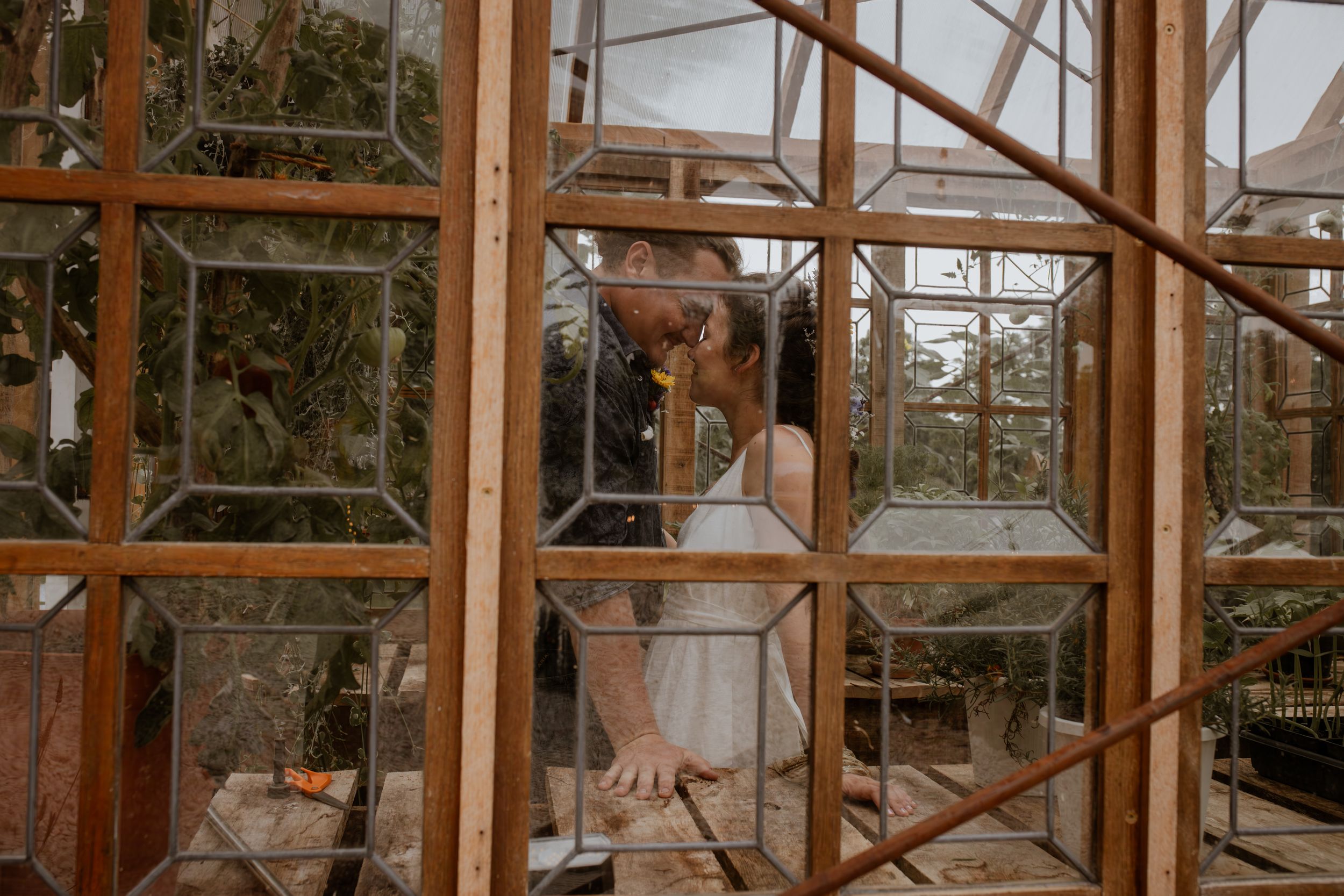 Framed by glass and time—love rooted, blooming, and beautifully still. 🌻🪻
Franklin County photographer, Missouri photographer, STL photog