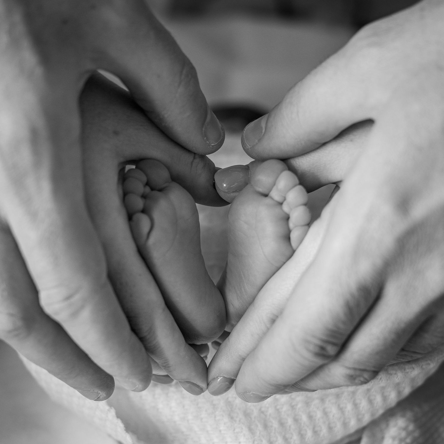 Close up black and white image of gentle hands holding baby's feet. Newborn Photoshoot