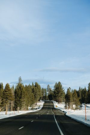 Snow-lined highway stretches through evergreen forest under bright blue winter sky.