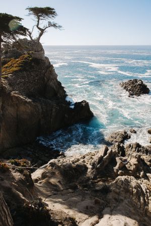 Lone cypress tree stands atop rocky cliff overlooking turbulent ocean waves below, 17-Mile-Drive, Carmel By The Sea, California.
