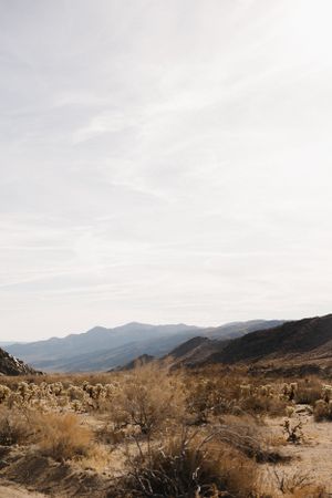 Desert landscape with mountains stretching into distance under pale cloudy sky, Joshua Tree.