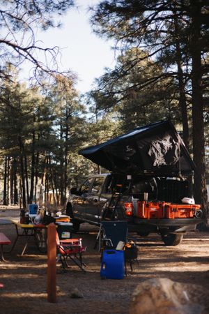 Camping setup with rooftop tent and outdoor furniture in a pine forest.