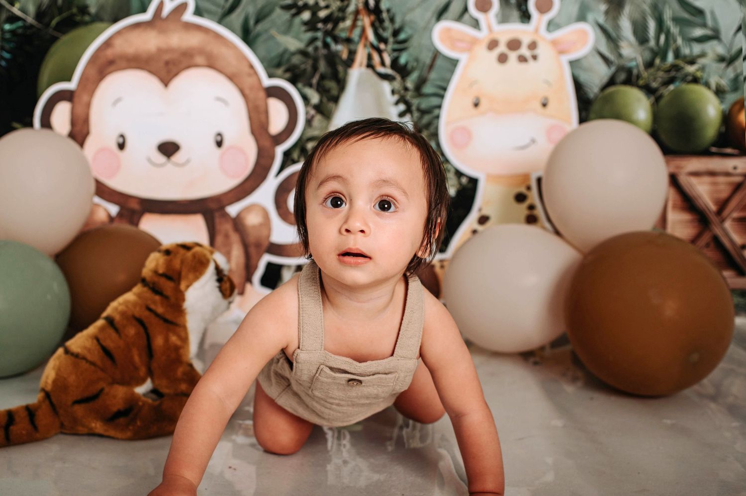 Jungle themed photoshoot with plush monkey and giraffe decorations.