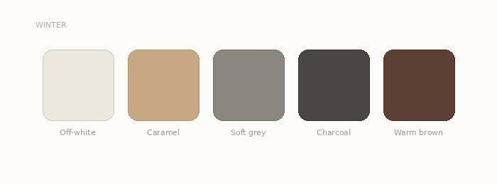 A minimalist color palette showing five neutral tones from off-white to dark brown arranged in a horizontal row.