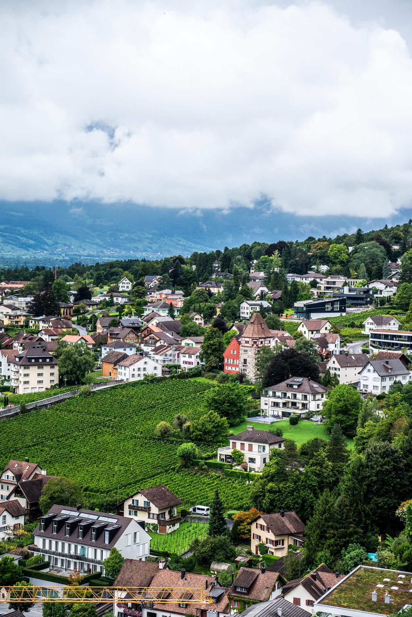 Panoramic view of a Swiss village nestled among rolling vineyards with traditional houses and cloudy mountain backdrop.