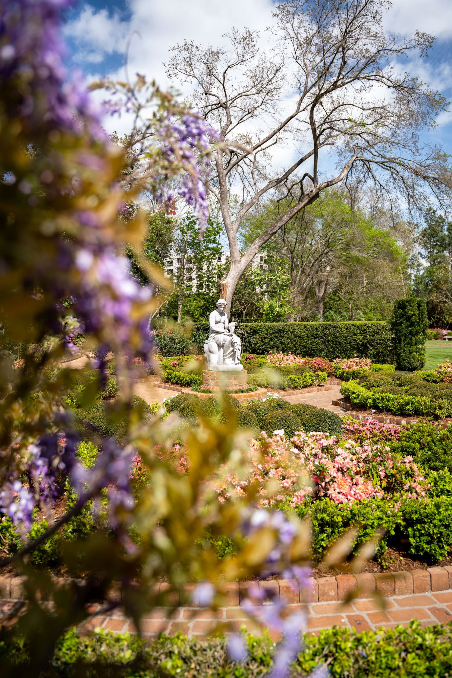 A classical white garden statue sits amid colorful azaleas and boxwood hedges, framed by purple wisteria blooms and blue sky.