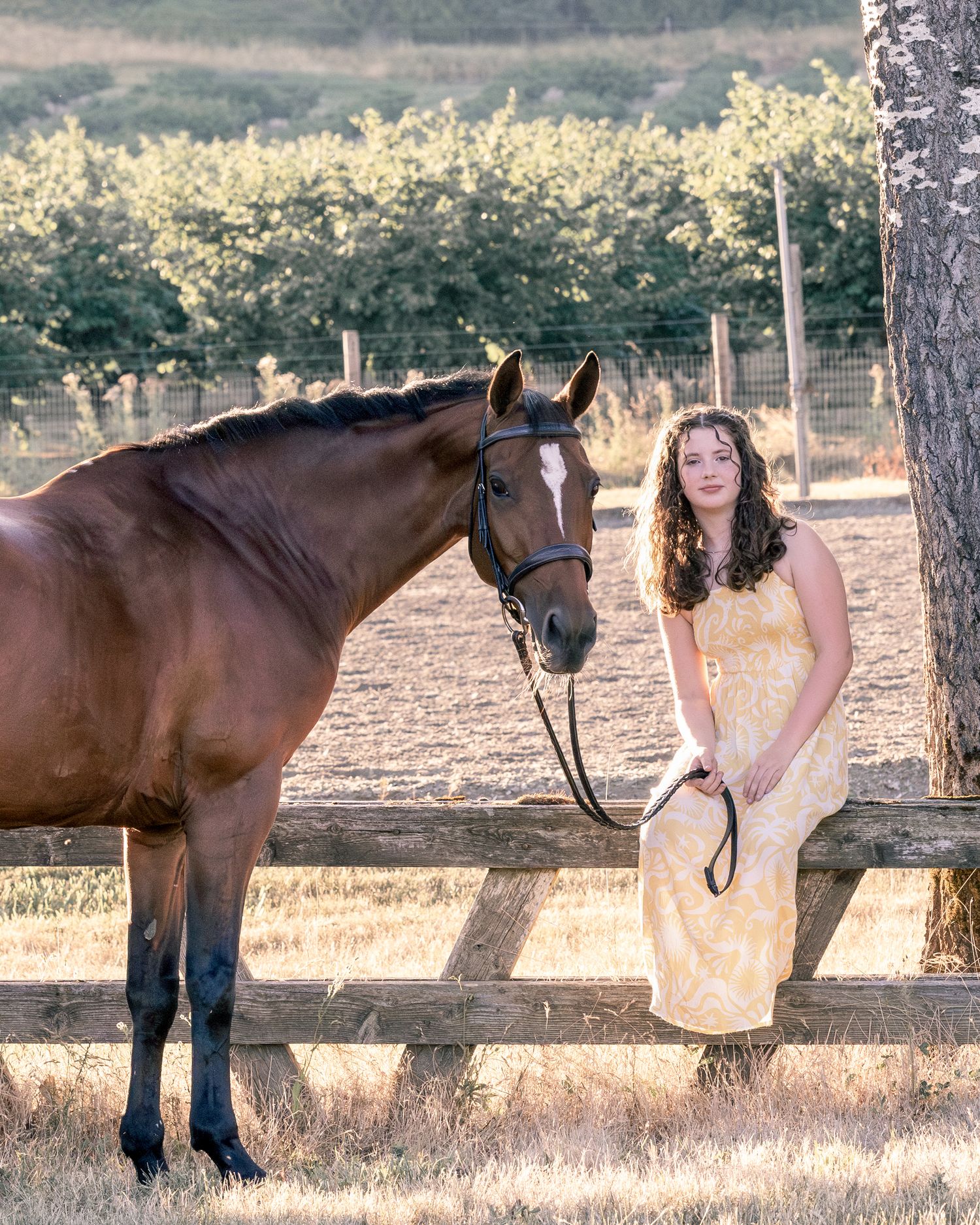 Horse and rider or senior pictures taken during sunny evening in Oregon Copyright Amanda Barr Photography