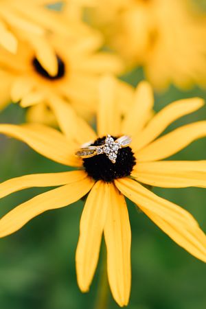Diamond engagement ring resting on bright yellow black-eyed susan flower petals.