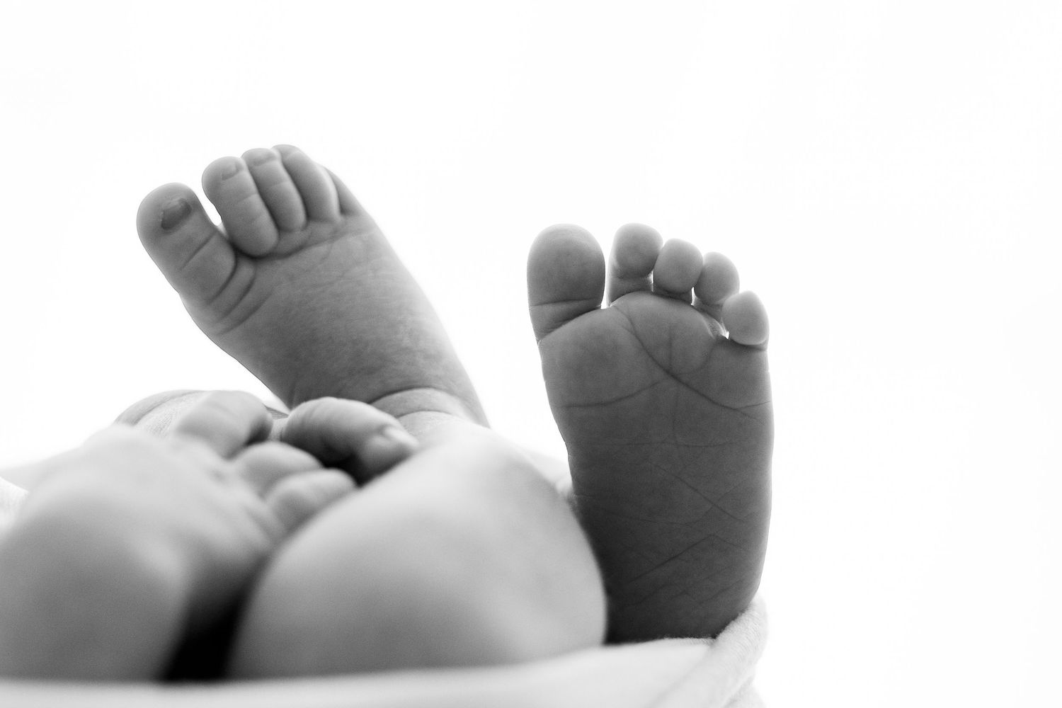 newborn, servizio fotografico newborn, eccomi, neonato, fotografo di neonati, varese, como, ticino, fotografo di famiglia,