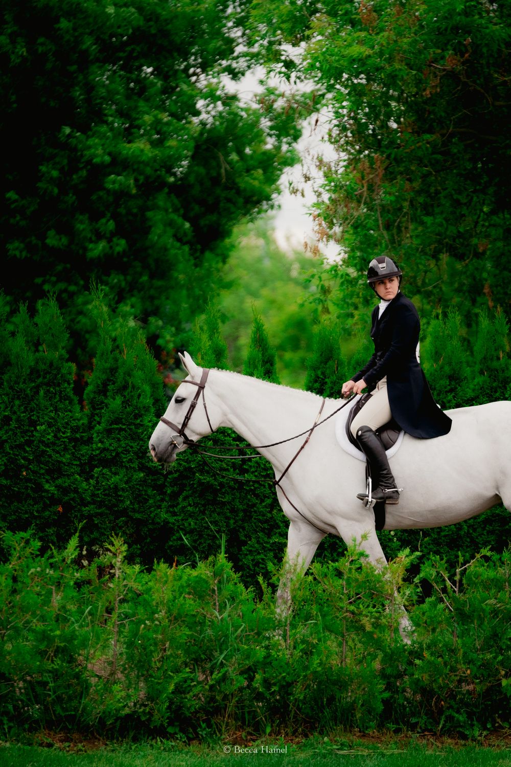 Equestrian rider on white horse against lush green forest backdrop.