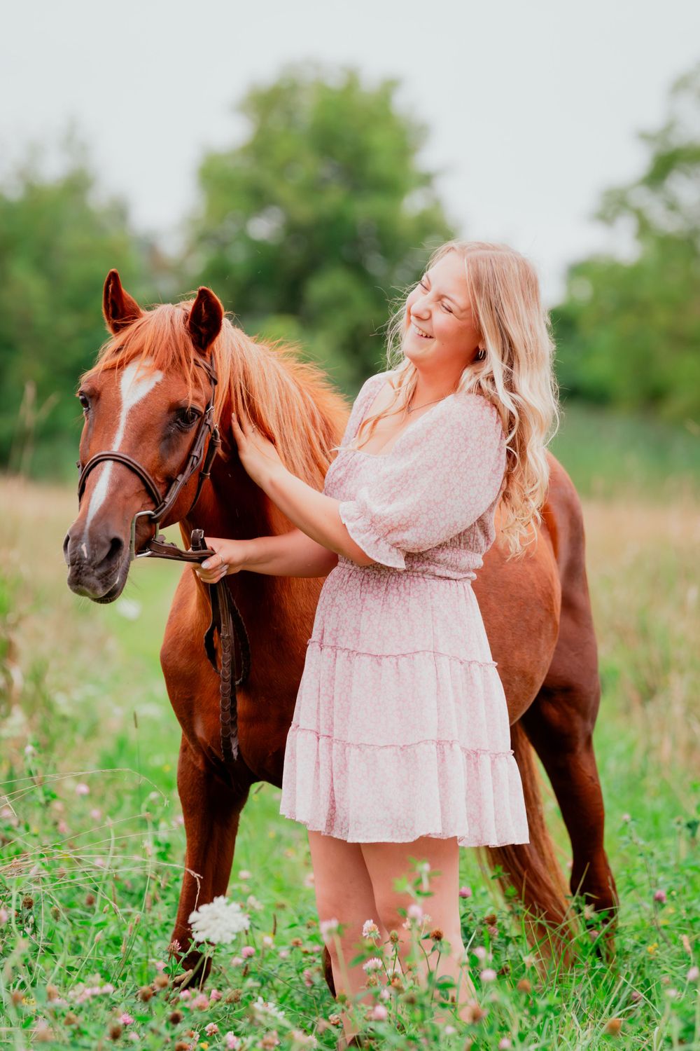 Chestnut horse standing in wildflower field during summer photo session.