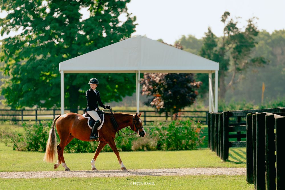 A horse and rider performing dressage under a white canopy in a tranquil setting.