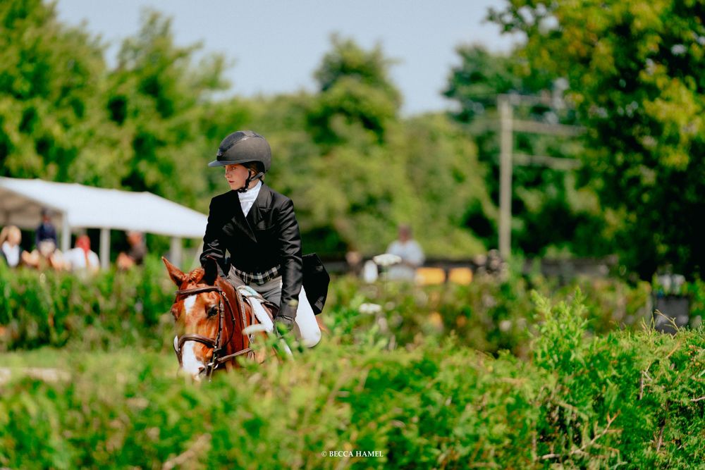 A rider practices on horseback in a sunny outdoor arena.