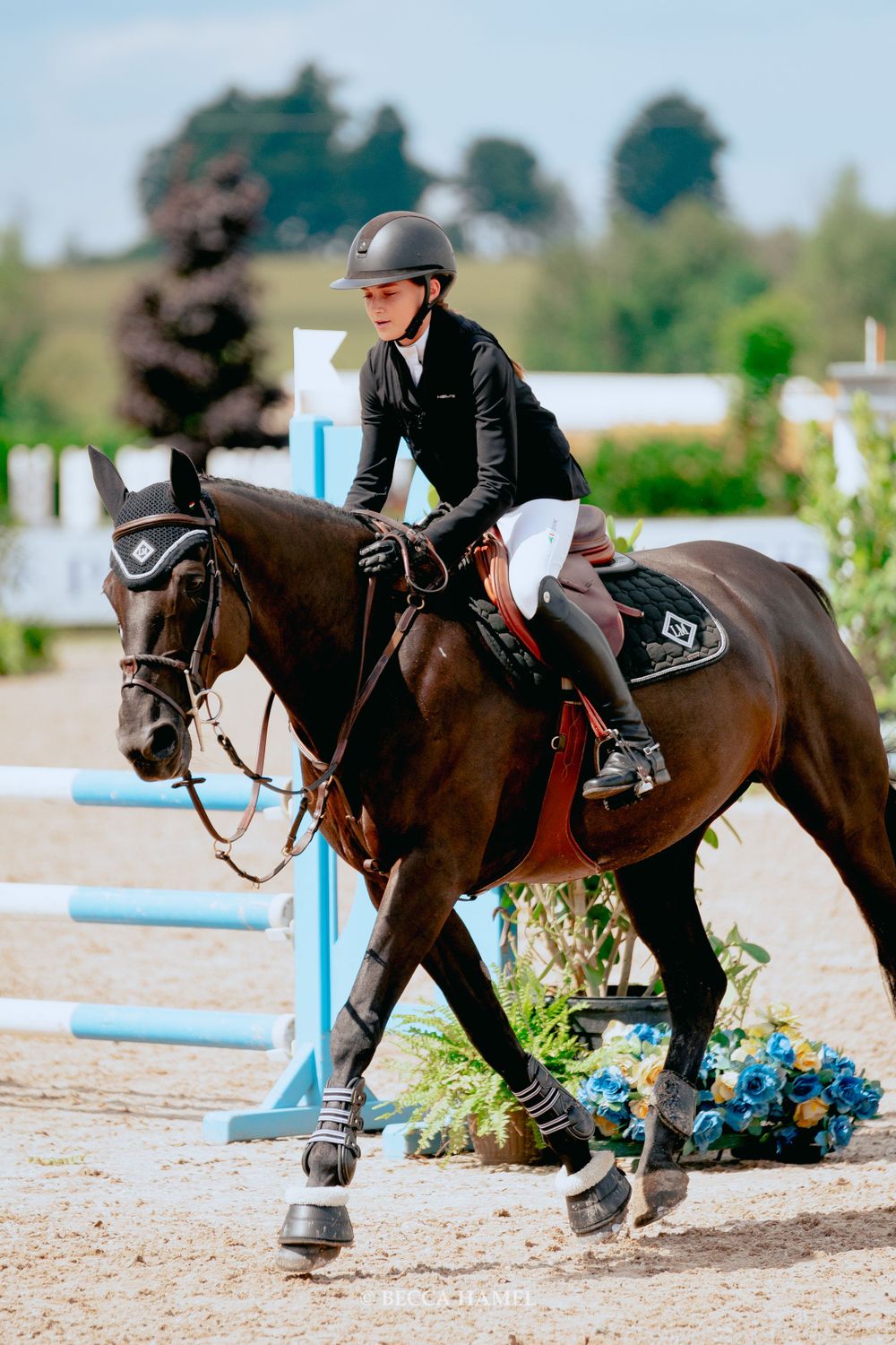 A competitive show jumper riding a bay horse through an equestrian course.