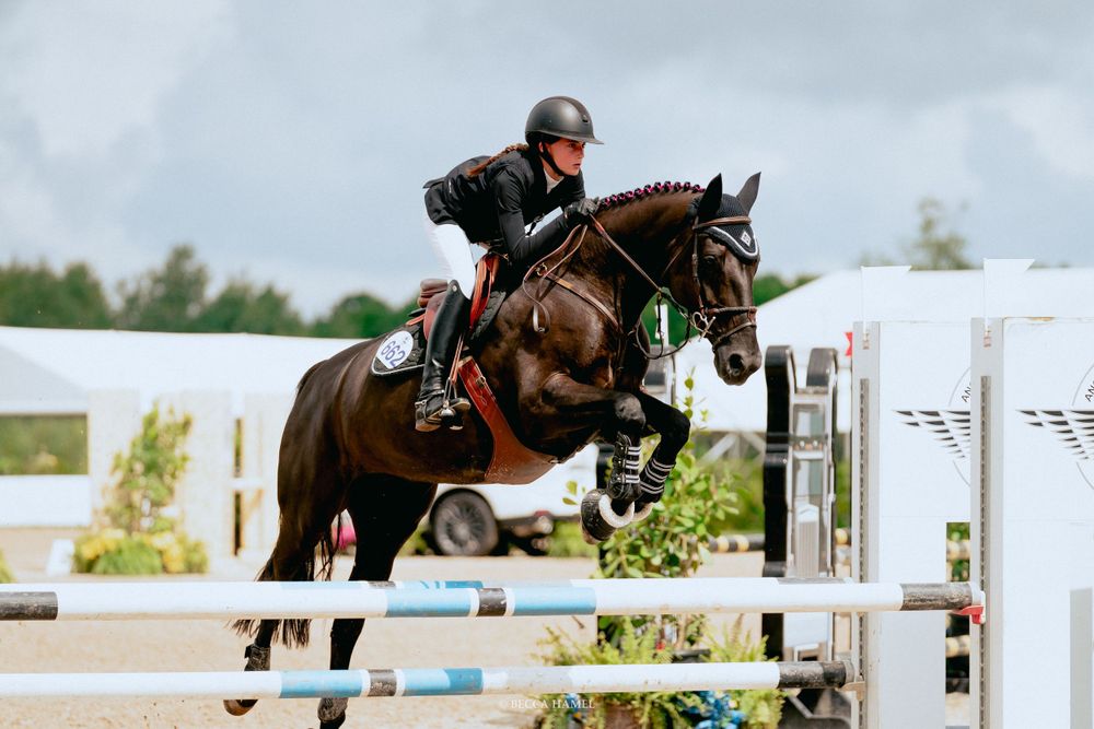 An equestrian and dark horse clearing a jump during a show jumping competition.