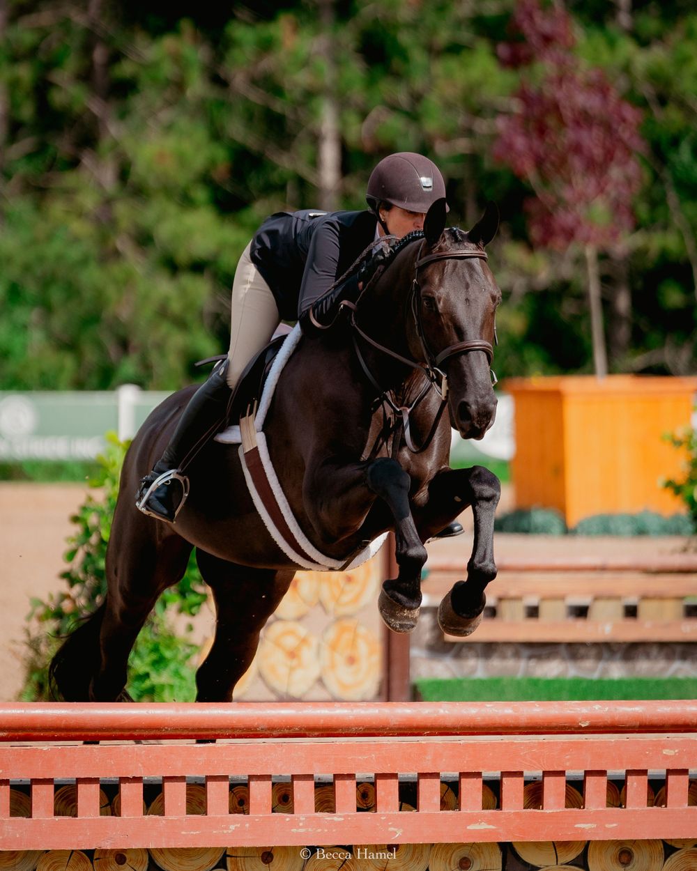 Equestrian jumping competition showing rider and horse clearing a red fence obstacle.
