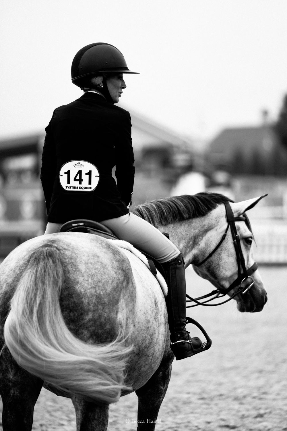Equestrian competitor number 141 riding a dappled gray horse during competition.