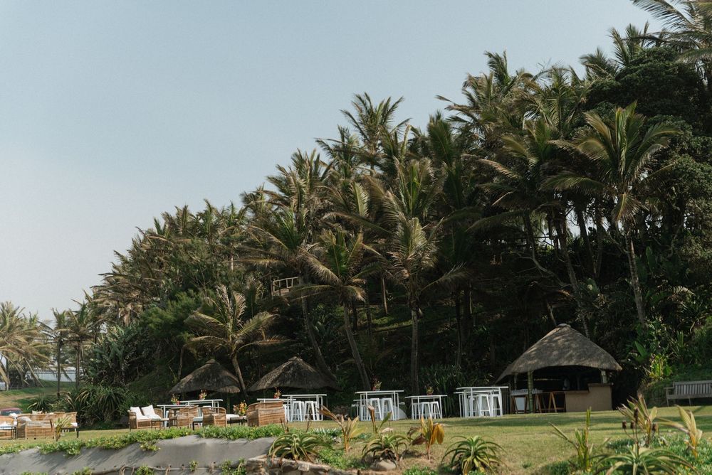 Tropical resort with thatched huts surrounded by lush palm trees and greenery under a clear sky.