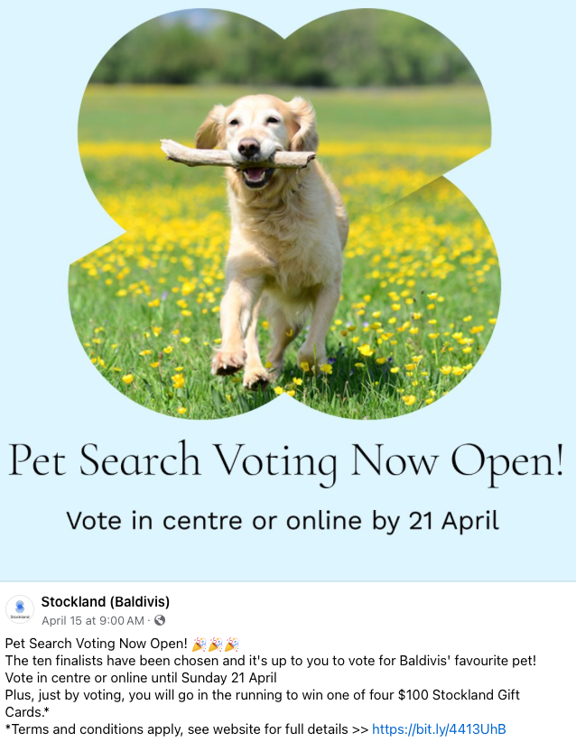 Happy golden retriever running through a field of yellow flowers carrying a stick.