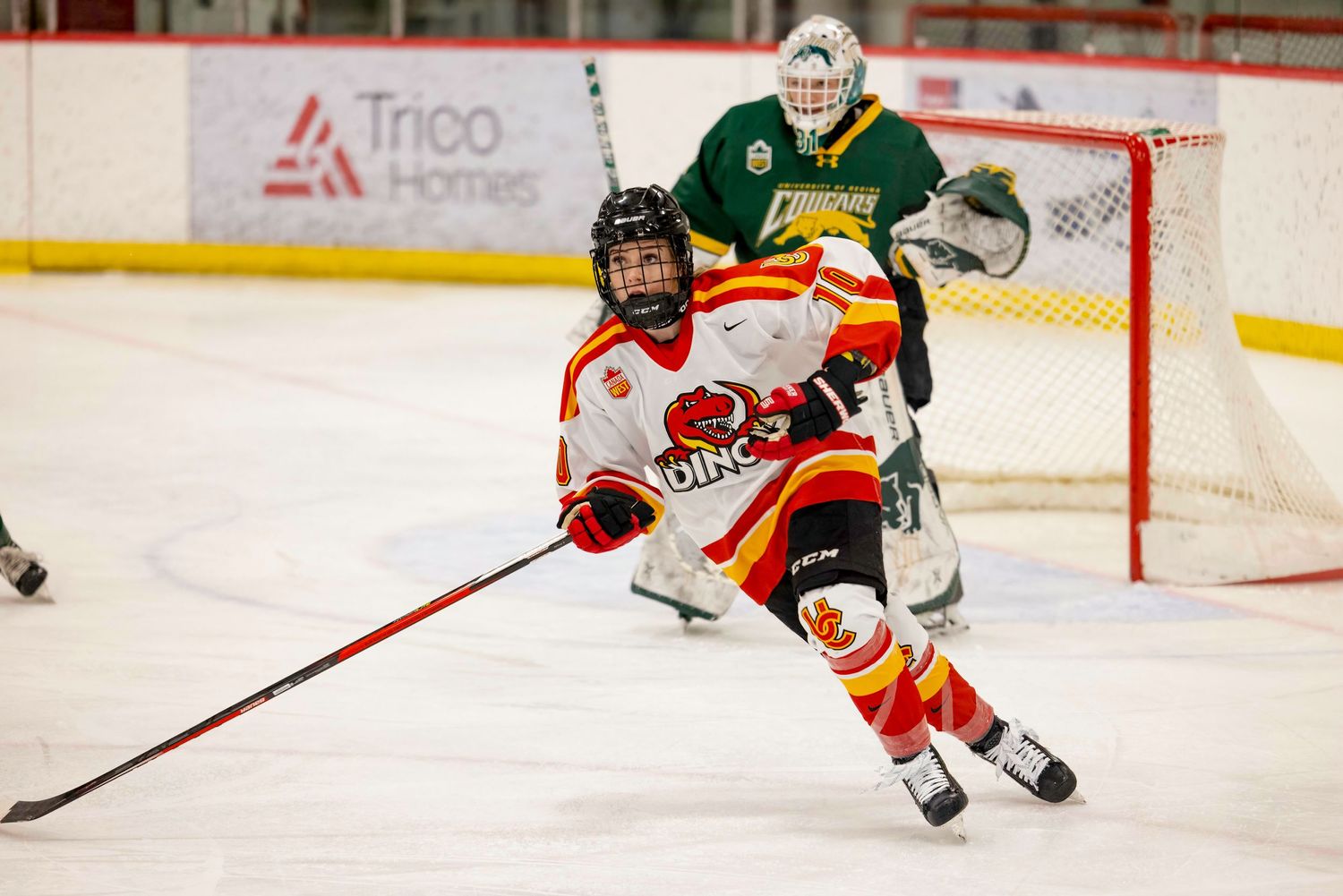 One youth ice hockey players from opposing 
teams skating on the rink during a game.