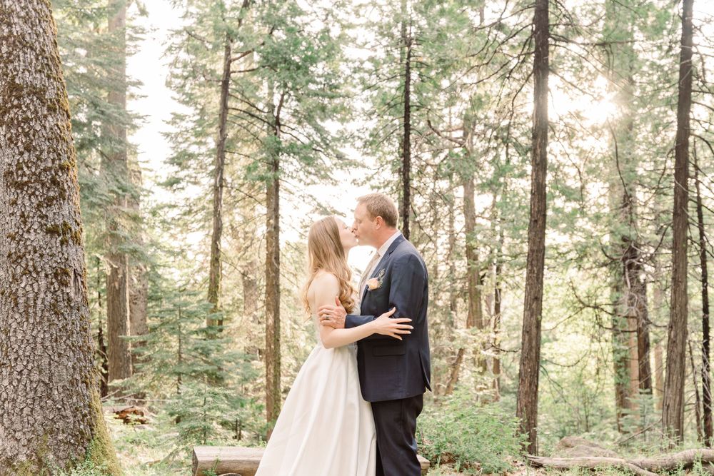 A romantic wedding couple shares intimate moments in a sunlit forest setting with tall evergreen trees.