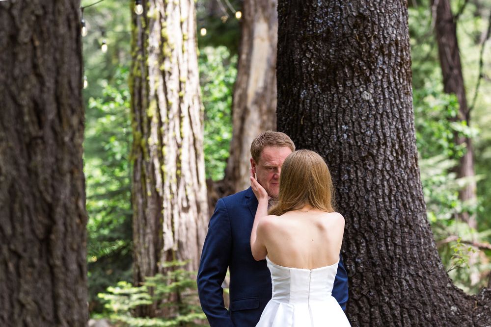 A couple embraces during their wedding photoshoot among tall forest trees.