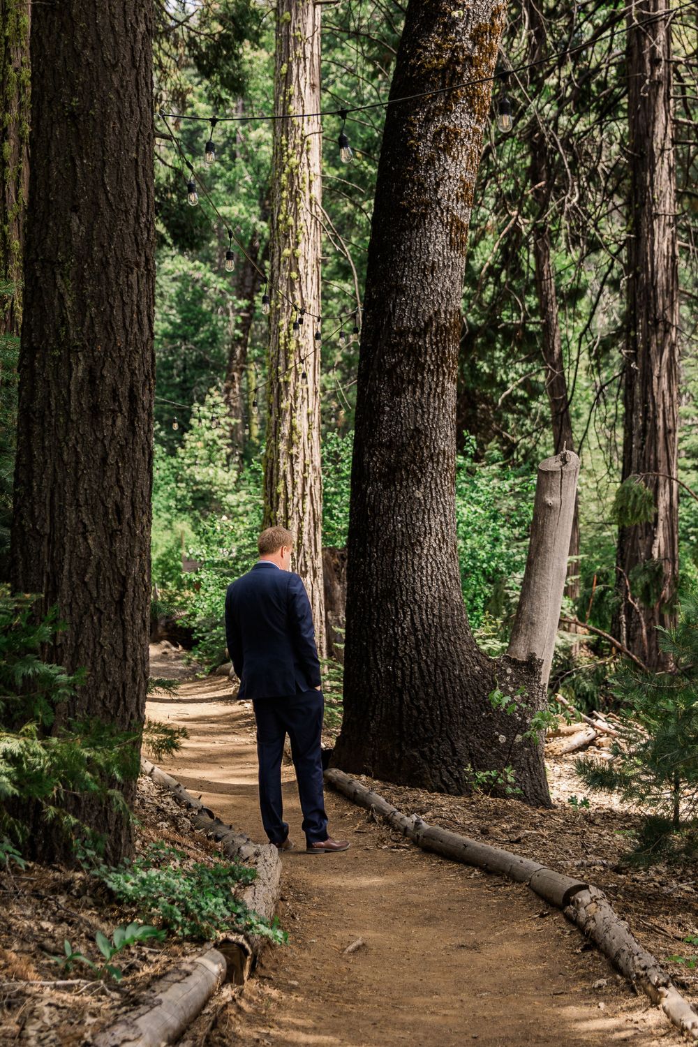 A person in a navy suit walks along a winding dirt path through a dense forest of tall trees.