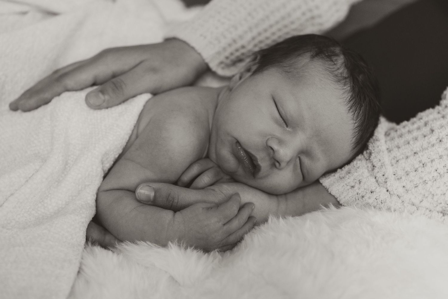 Newborn