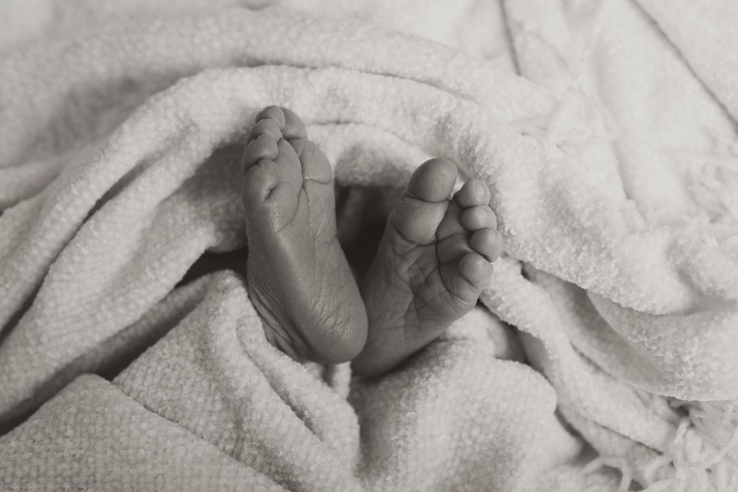 Newborn