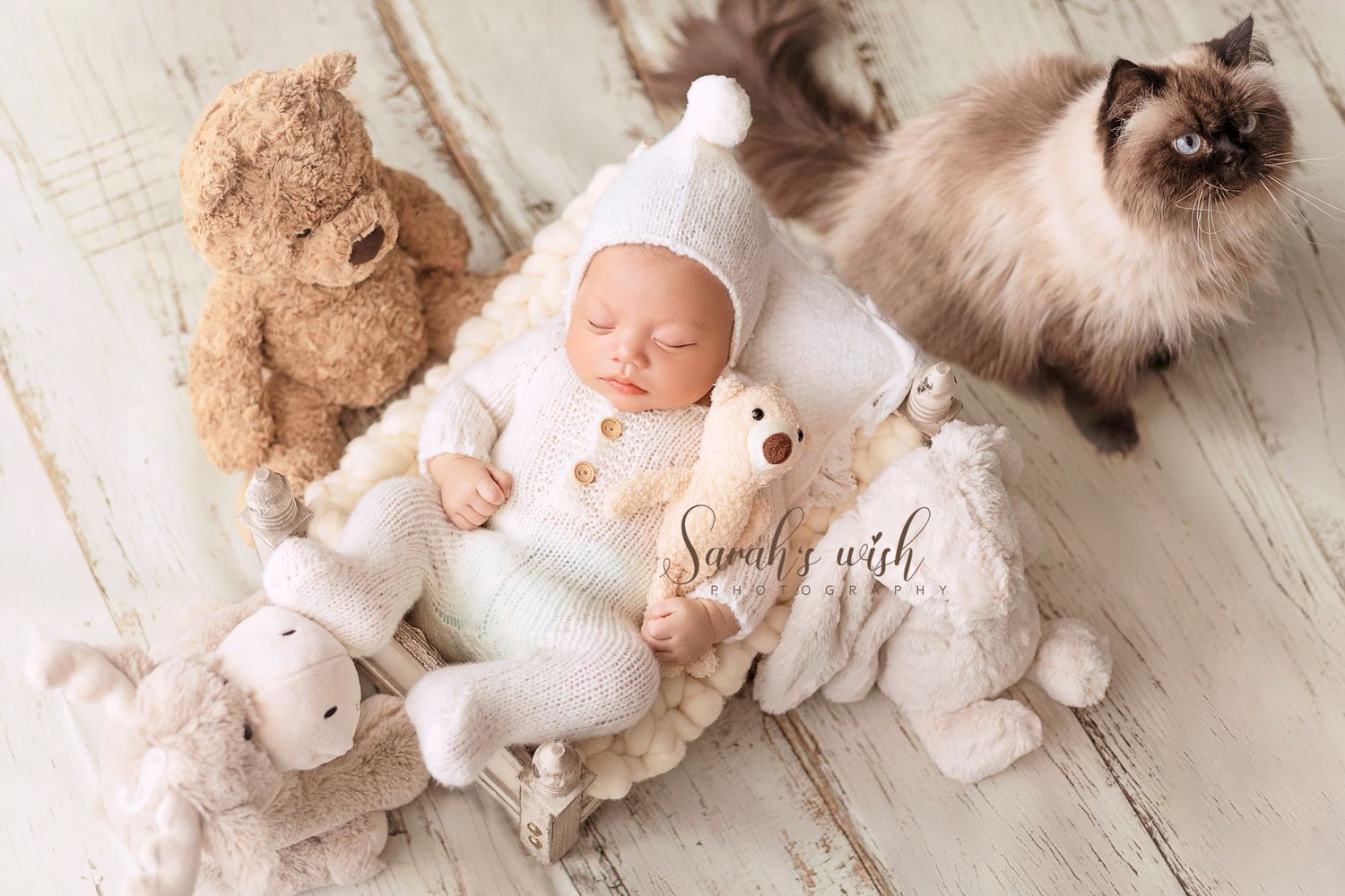 Calgary Newborn, Baby, Maternity, Milestone & Family Photography | 10+ Years Expertise | 100% Client Satisfaction