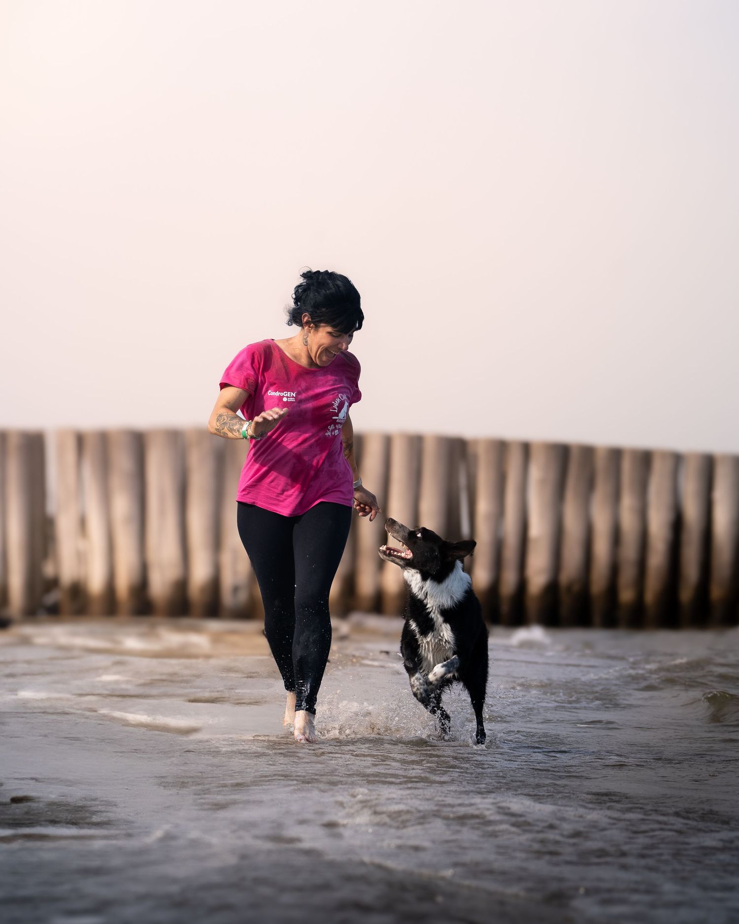 foto; fotografia; cane; fotografo; fotografo Firenze; Firenze; dog; dog photographer; photo; fotografo di cani; fotografo cani; cane;