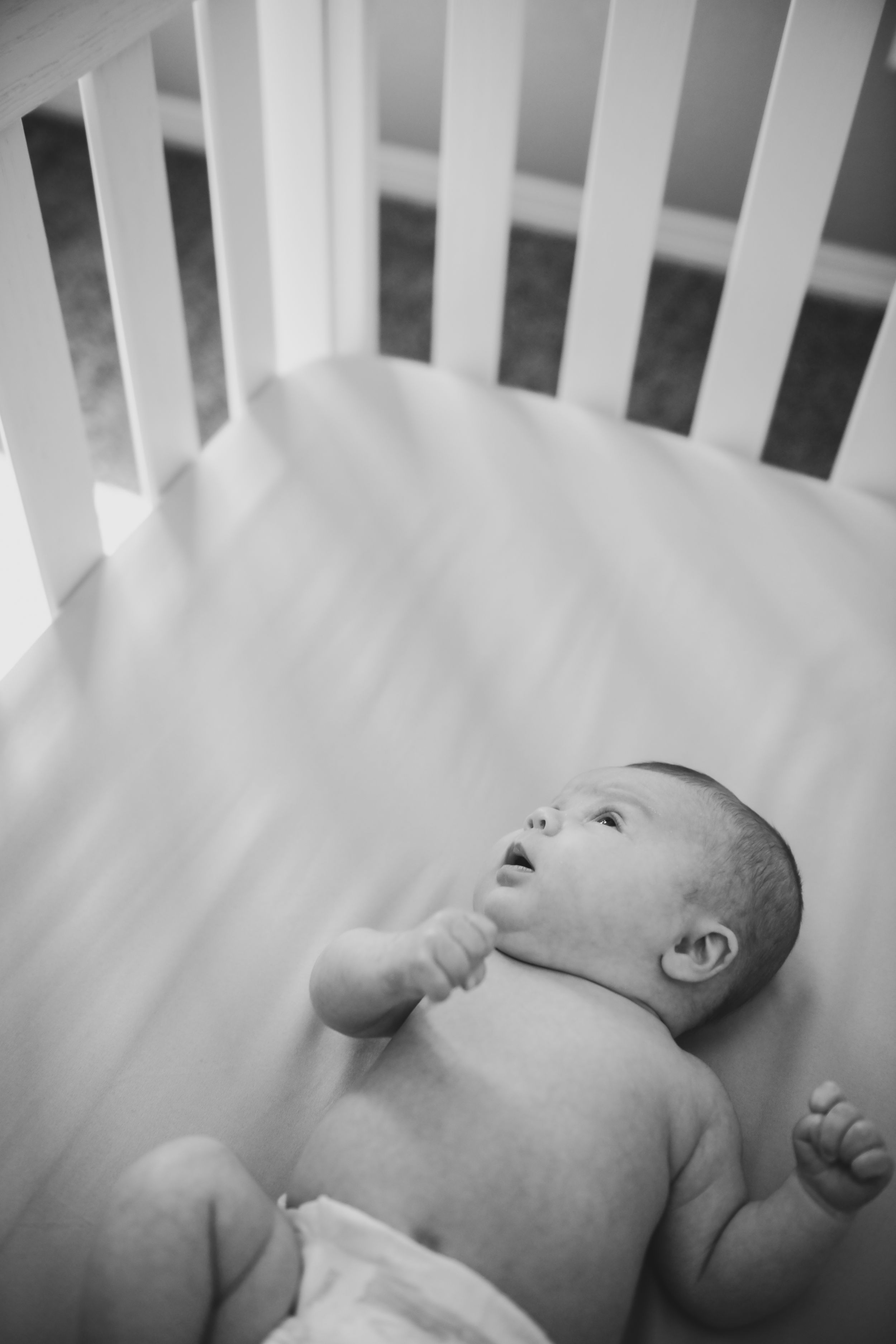 Colorado newborn photo
