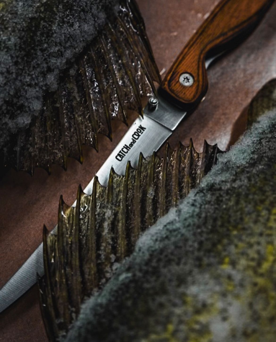 Close-up of folding knife blade against textured wood surface.