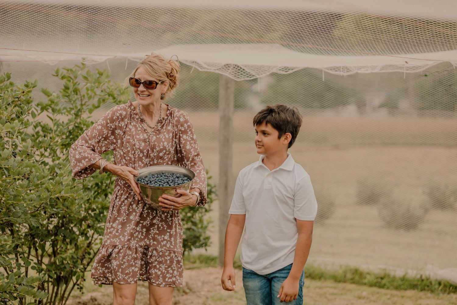Two people picking berries together under protective netting in a sunlit field.