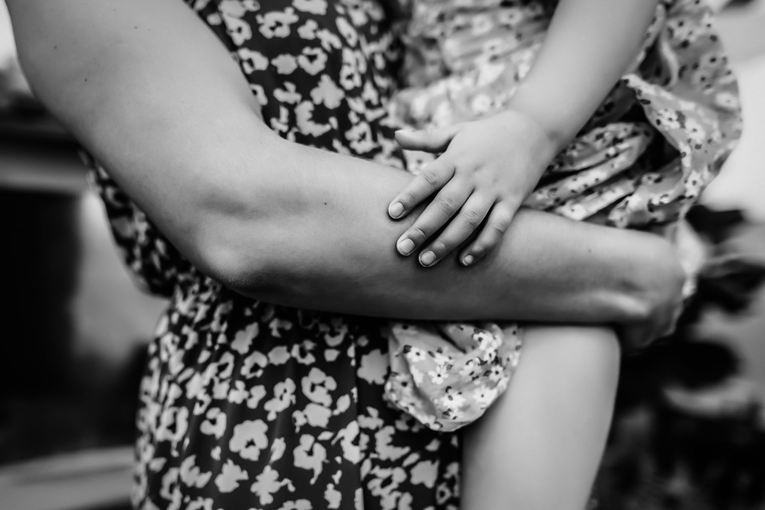 Fenton Michigan Family Photographer