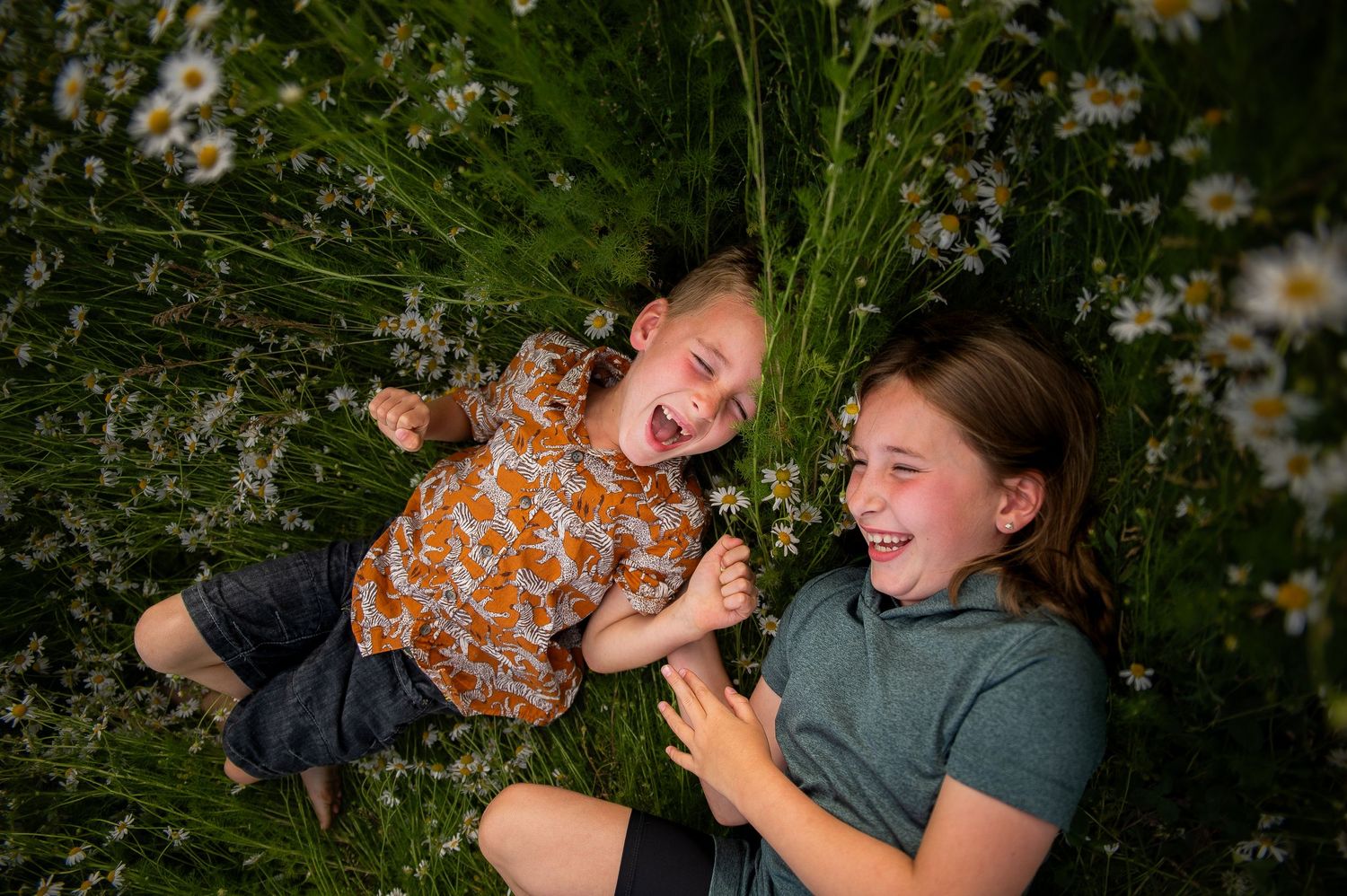 Joyful outdoor portrait session with bright daisies and natural greenery.