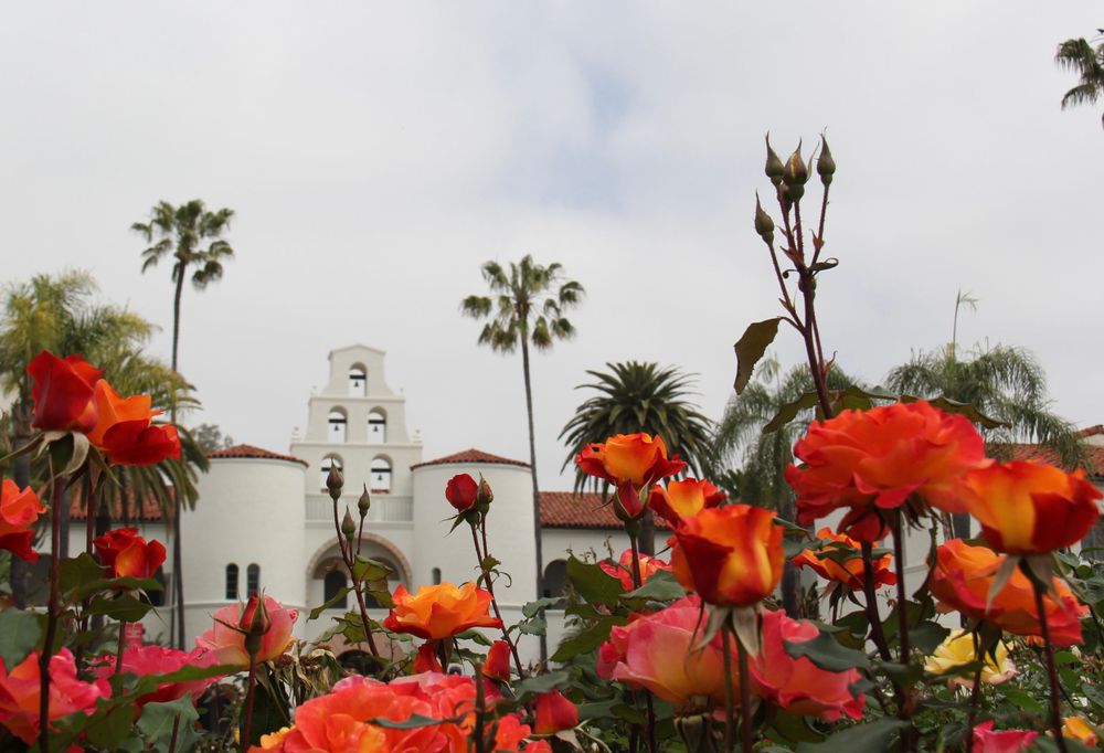 White Spanish colonial mission building with red flowers in foreground and palm trees against blue sky.