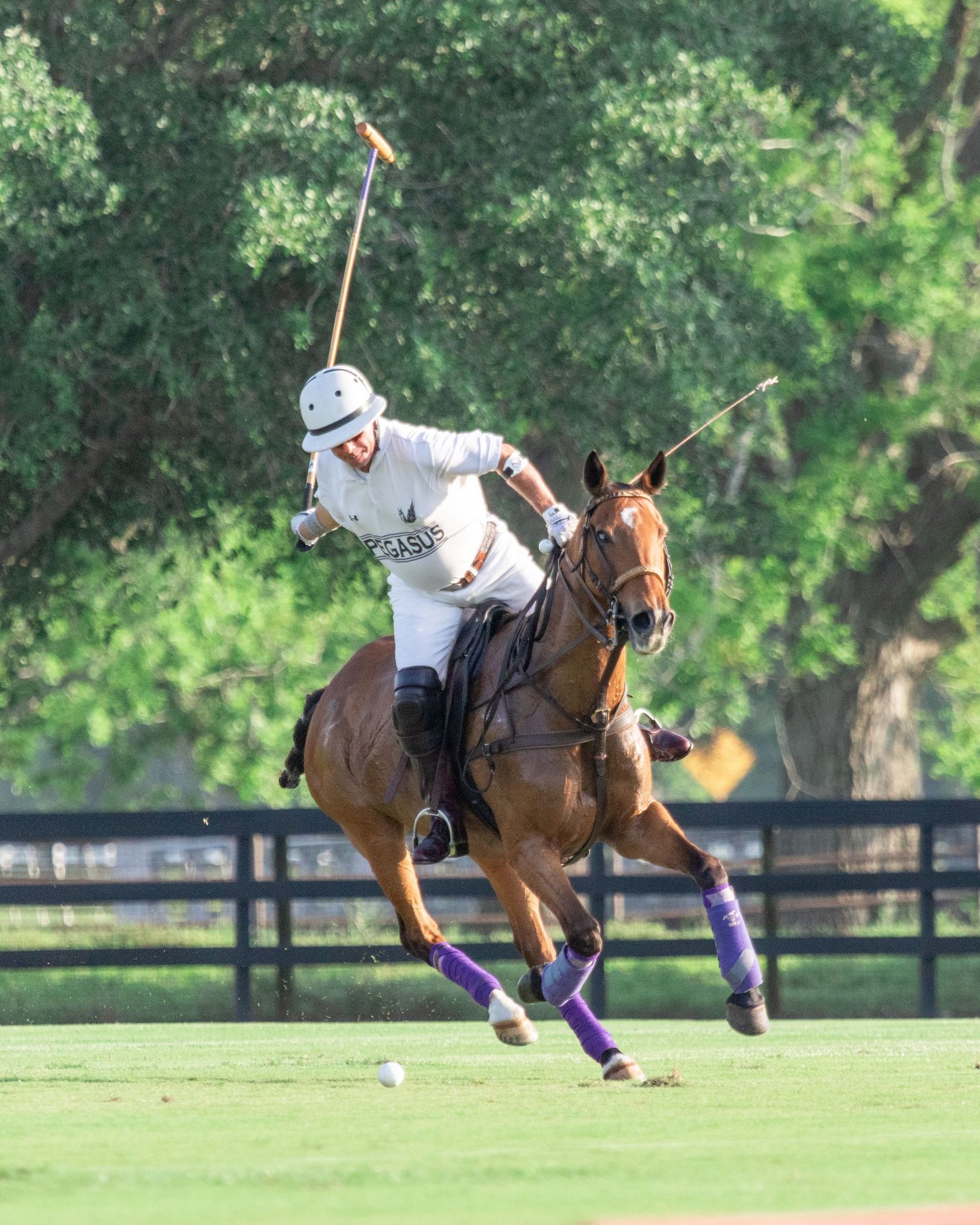 Polo David Andras