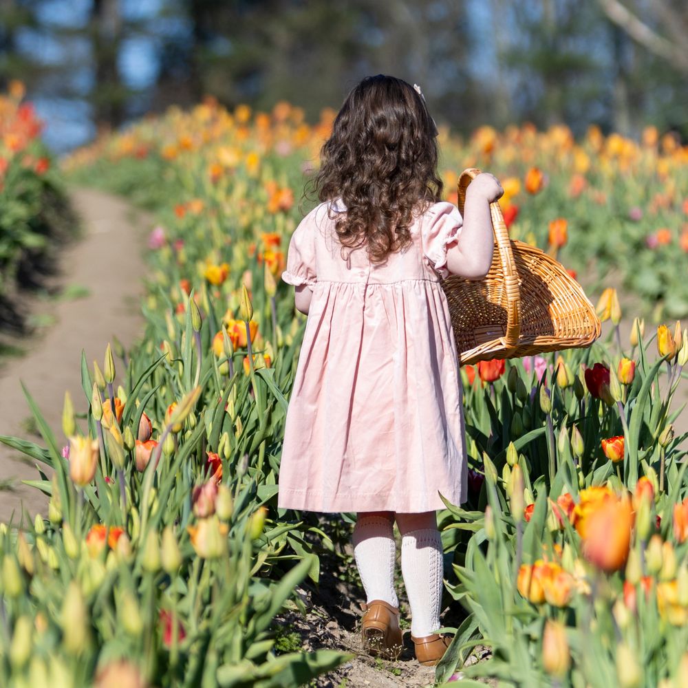 Young girl walks in the tulip field at Ferjulian's Farm during a spring family photo session by  Lisa West Photography