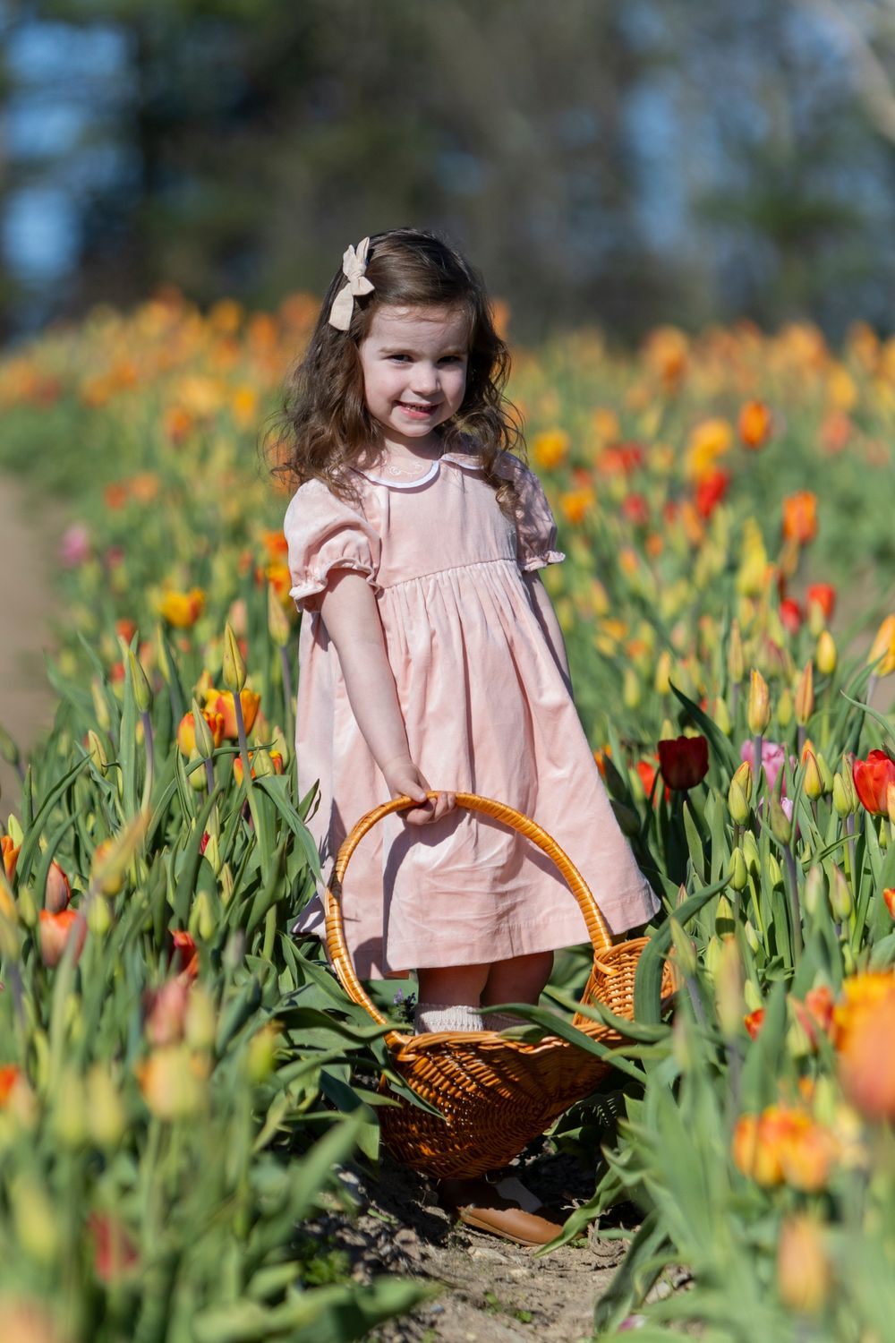 Young girl poses in the tulip field at Ferjulian's Farm during a spring family photo session by  Lisa West Photography