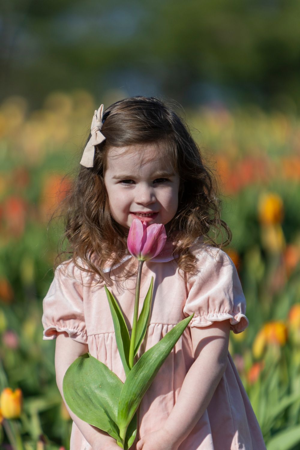 Young girl poses in the tulip field at Ferjulian's Farm during a spring family photo session by  Lisa West Photography