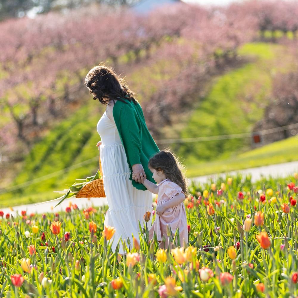 Mother and Daughter post in the tulip field at Ferjulian's Farm during a spring family photo session by  Lisa West Photography