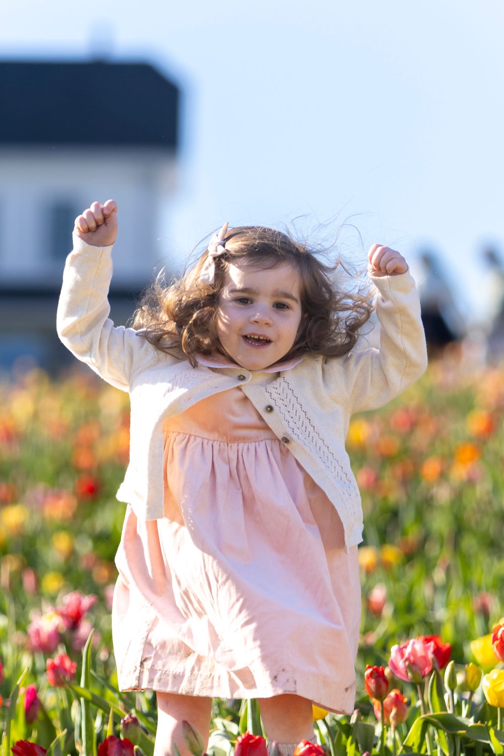 Young girl poses in the tulip field at Ferjulian's Farm during a spring family photo session by  Lisa West Photography