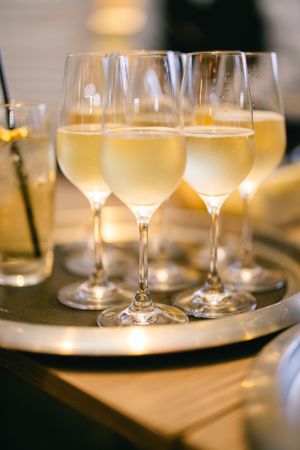 Several glasses of chilled white wine arranged on a silver serving tray.