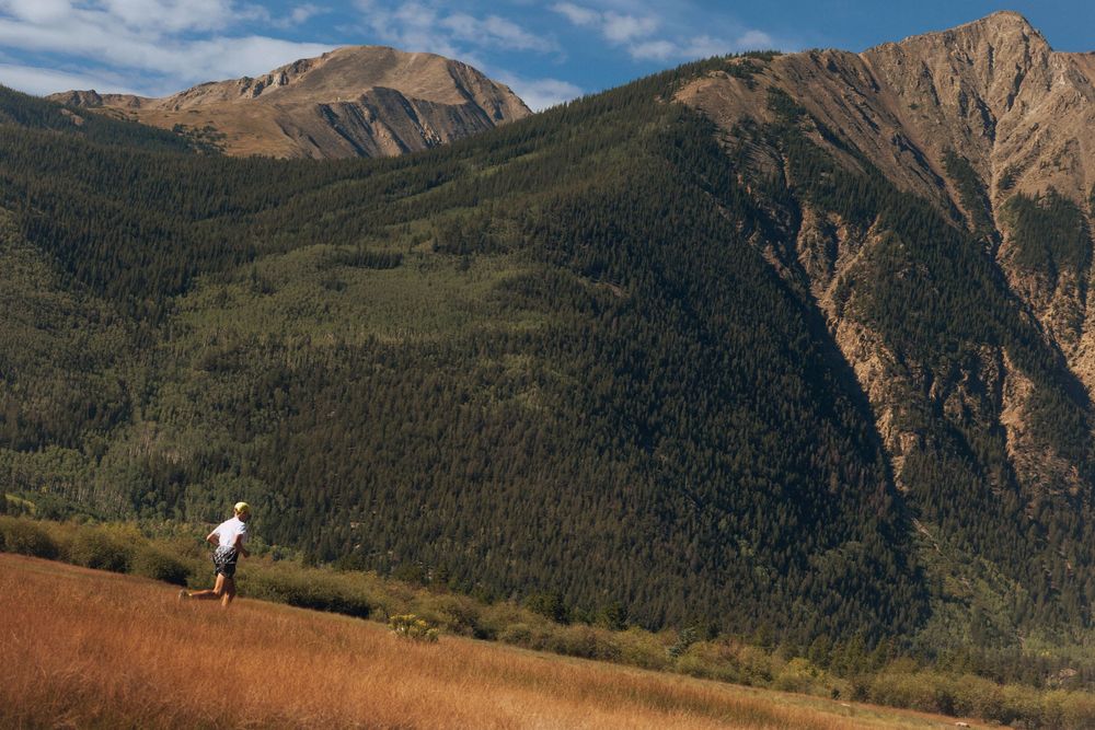 A lone hiker walks across a golden meadow with dense forested mountains and rocky peaks in the background.