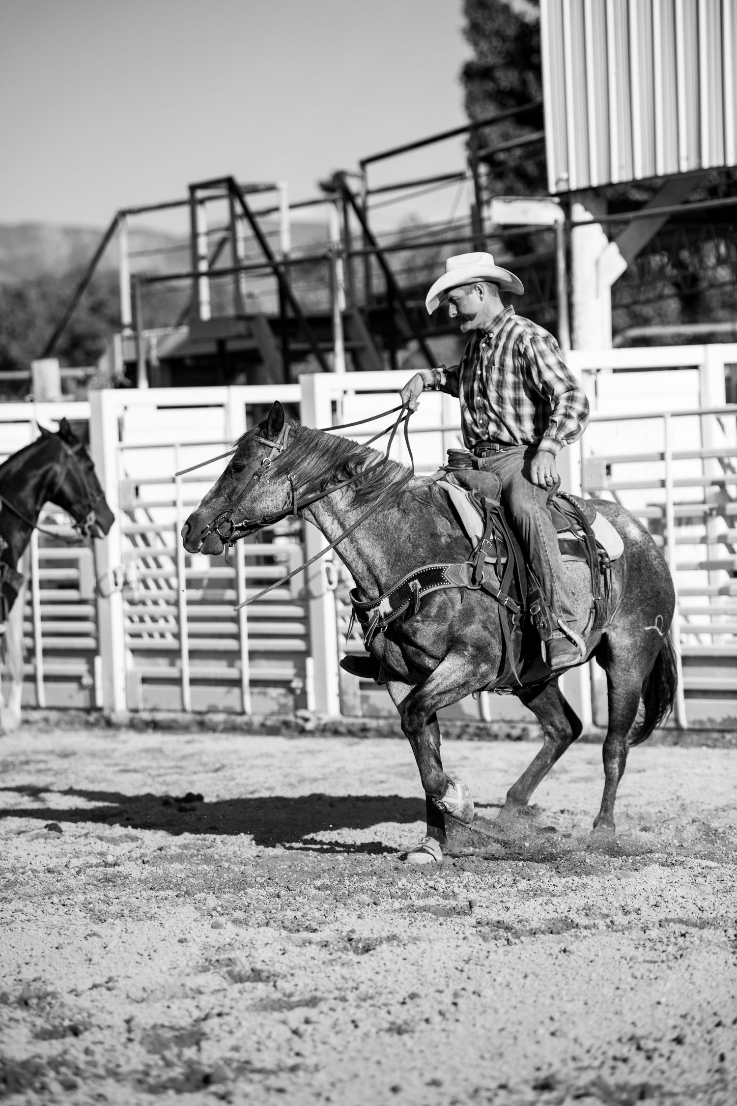 Black and white sequence of horse and rider practicing in a training arena.